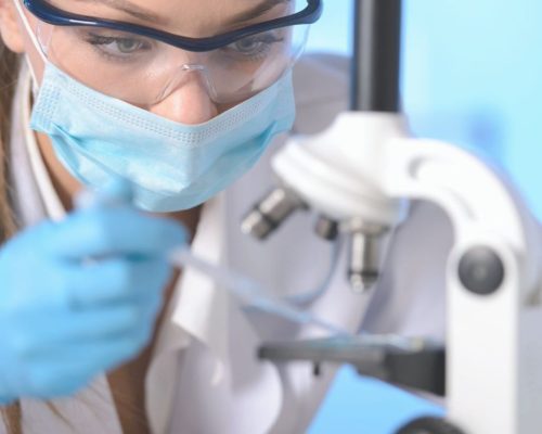 organoides-1030x1030